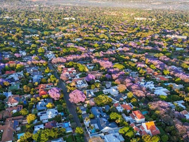 热点追踪|第二十次G20峰会