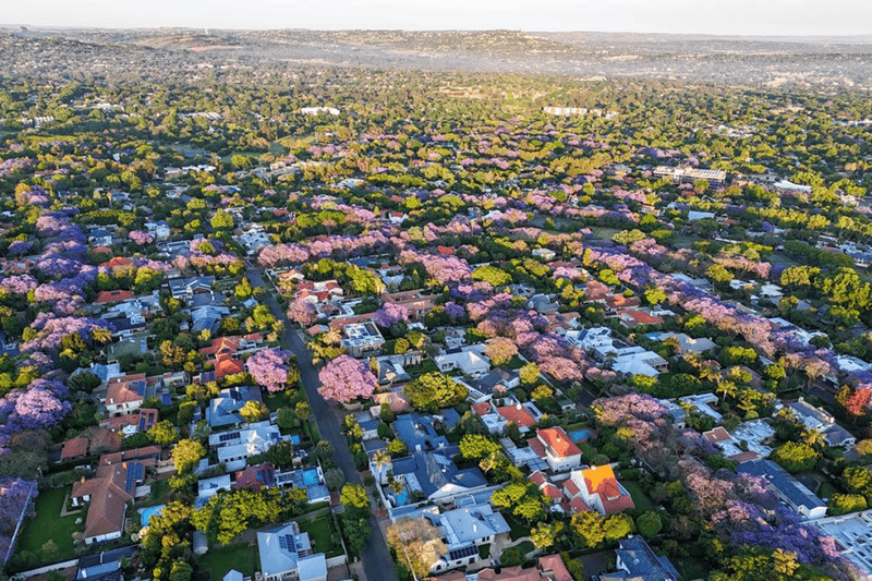 热点追踪|第二十次G20峰会