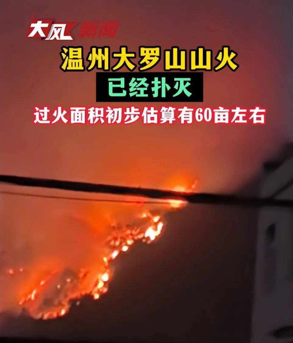 温州大罗山发生火情,“火势很大,一直持续到晚上”, 应急管理局:无人员伤亡,原因正在调查中