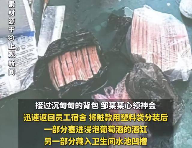 儿子偷32万元现金途中出车祸,亲妈帮藏赃款,双双获刑