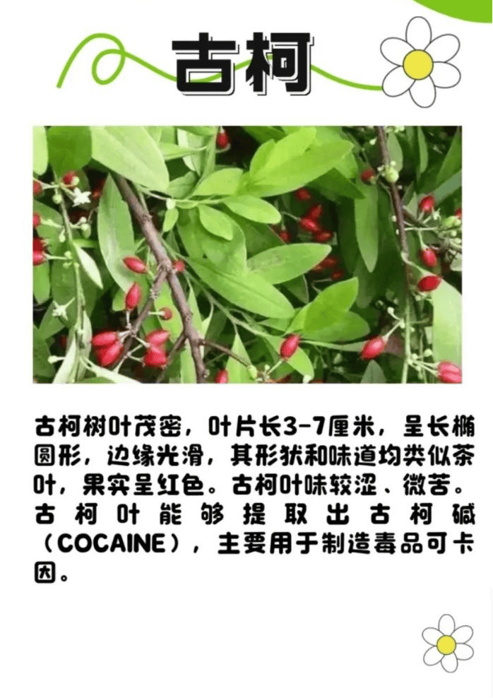 悬赏1500万美金!前奥运选手涉多起案件,被列入十大通缉犯