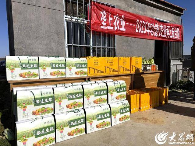 山东青岛:全国首批“板蓝根白菜”喜获丰收,正式上市!首批10万棵已被上海采购商“包圆”