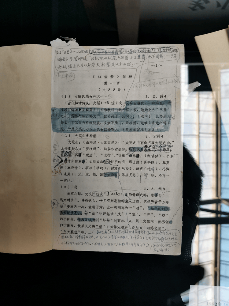 《红楼梦》是“悼明”之作?曹学会:把曹雪芹看低了