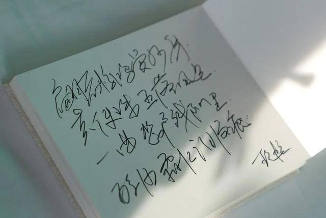 何晴之子追思：妈妈很喜欢雪，北京这场雪好像是为她而下