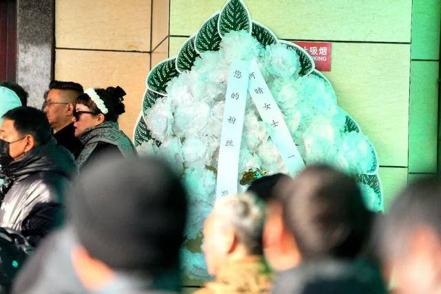 何晴之子追思：妈妈很喜欢雪，北京这场雪好像是为她而下