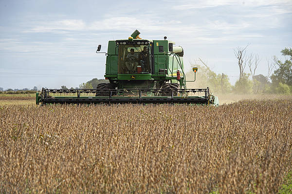 自上世纪90年代以来,中国首次购买阿根廷小麦