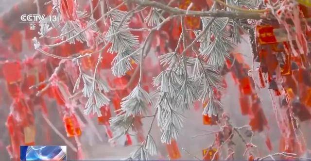 我国已经进入拉尼娜状态,专家:可能出现冬春连旱