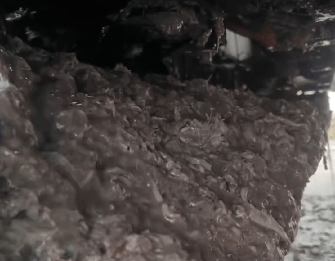 紫牛头条｜40余车辆遭高速海鲜废料“臭袭”，交警称“非交通事故”，车主维权陷两难