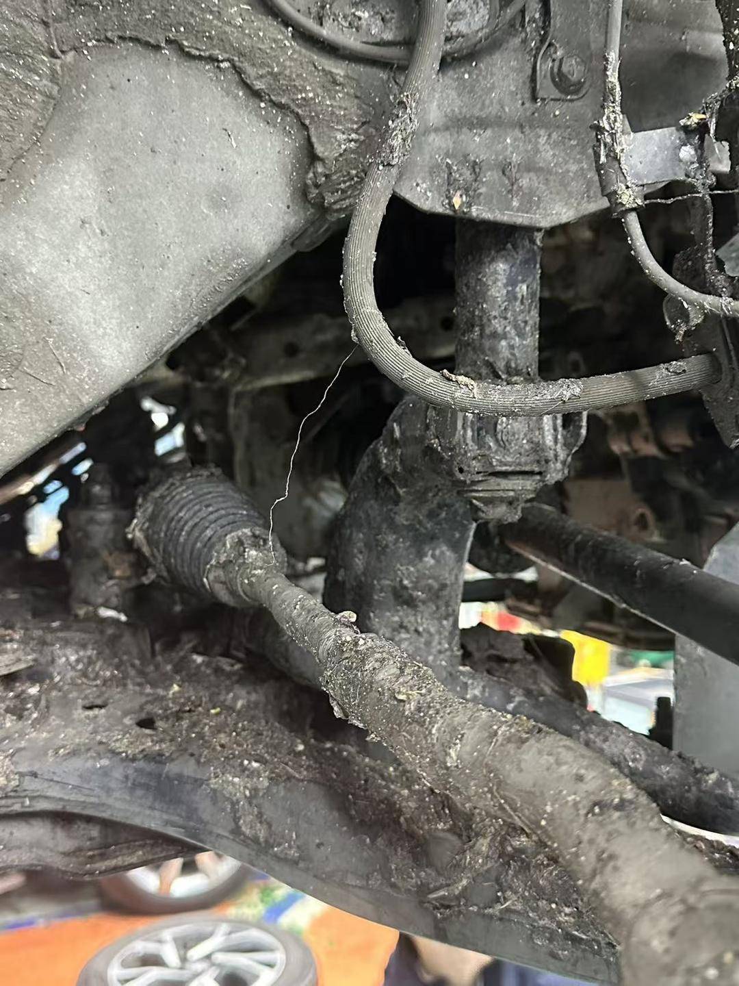 紫牛头条｜40余车辆遭高速海鲜废料“臭袭”，交警称“非交通事故”，车主维权陷两难